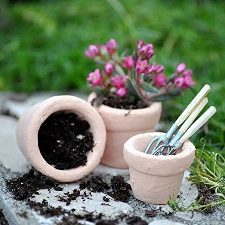 fairy plant pots Set of 3 Terra Cotta Pots for Miniature Fairy Gardens– Fairy Garden Store